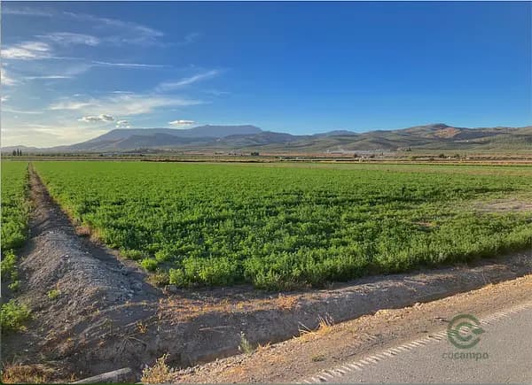 Finca agrícola de 2,34 ha en venta en Granada