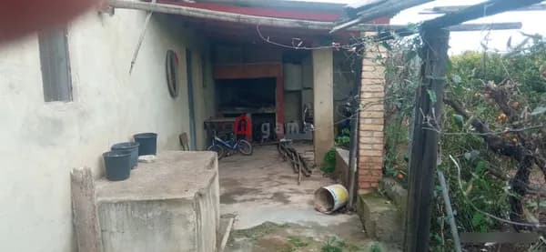 Finca agrícola de 0,204 ha en venta en Burriana, Castellon