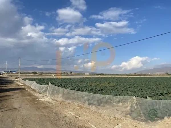 Finca agrícola de 0,8 ha en venta en Huercal-overa, Almeria