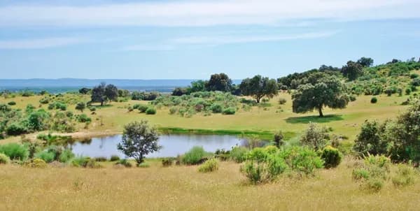 Finca rústica de 100 ha en venta en Cáceres