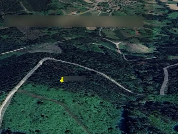 Finca forestal de 0,408 ha en venta en La coruña