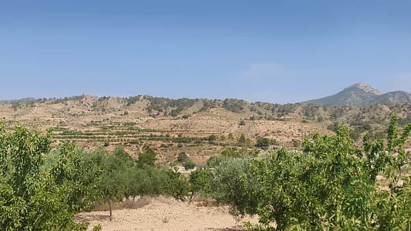 Finca agrícola de 0,59 ha en venta en Abanilla, Murcia