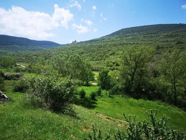 Finca rústica de 1,8 ha en venta en Sant mateu, Castellon