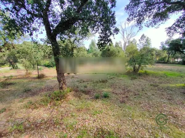 Fazenda rustica de 1,57 ha para venda em Santarém