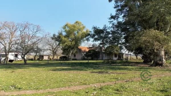 Finca rústica de 28 ha en venta en Buenos aires