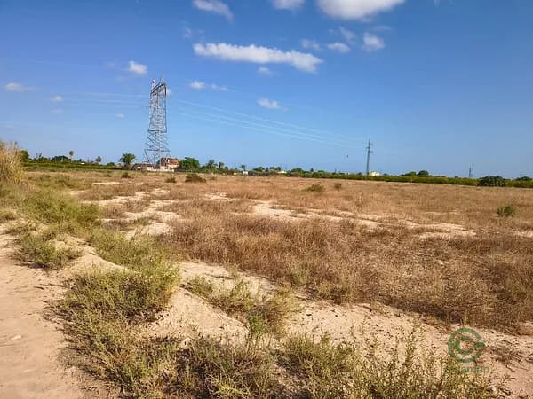 Finca rústica de 1,3181 ha en venta en Elche pedanias, Alicante