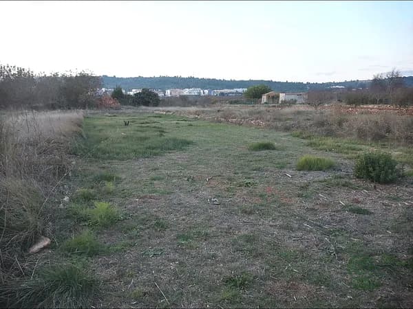 Finca rústica de 0,0583 ha en venta en Vall d'alba, Castellon
