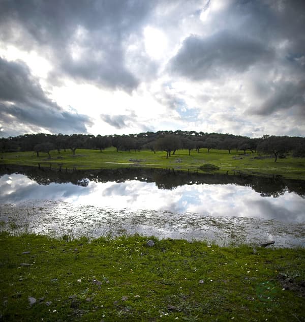 Finca rústica de 435 ha en venta en Badajoz