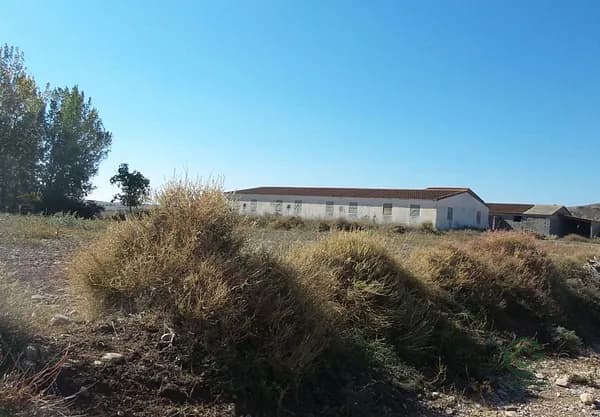 Finca agrícola de 0,5628 ha en venta en Pertusa, Huesca