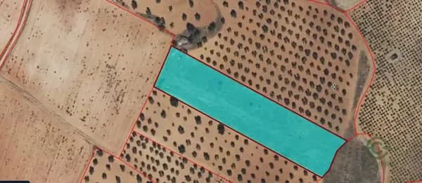 Finca agrícola de 0,63 ha en venta en Valdepenas, Ciudad real