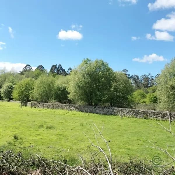 Finca rústica de 4,5 ha en venta en Pontevedra