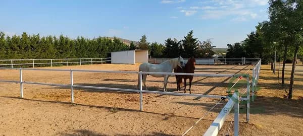 Finca rústica de 3 ha en venta en Toledo