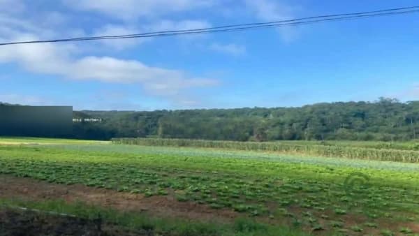 Fazenda agrícola de 19,42 ha para venda em São paulo