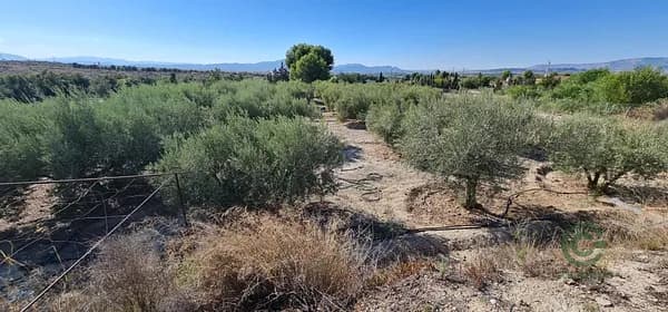 Finca agrícola de 0,15 ha en venta en Molina de segura, Murcia