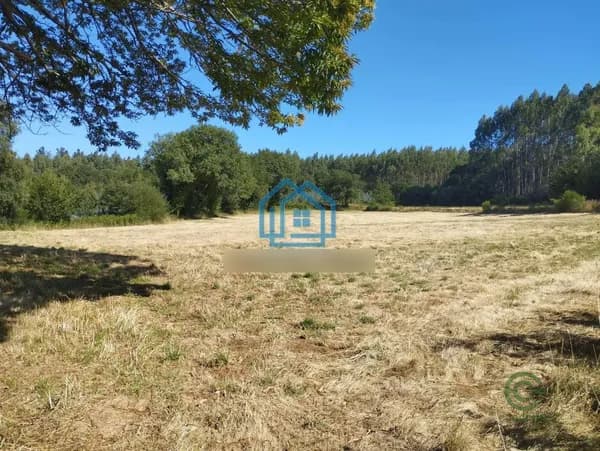 Finca agrícola de 0,8035 ha en venta en Begonte, Lugo