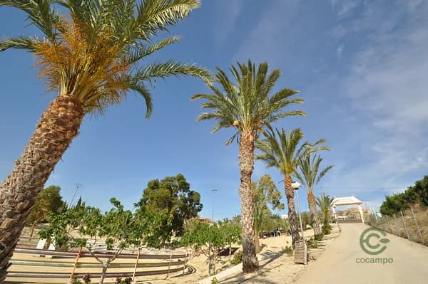 Finca rústica de 2,0442 ha en venta en Murcia