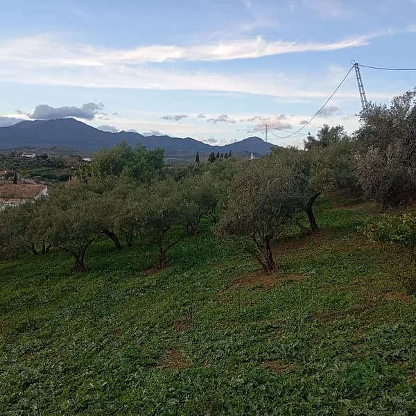 Finca rústica de 0,6 ha en venta en Málaga