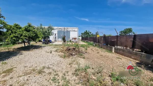 Finca rústica de 0,1208 ha en venta en Benicarlo, Castellon