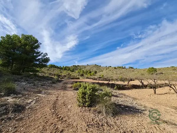 Finca rústica de 0,5 ha en venta en Raspay, Murcia