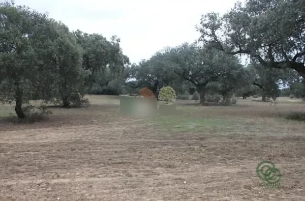 Finca rústica de 450 ha en venta en Badajoz