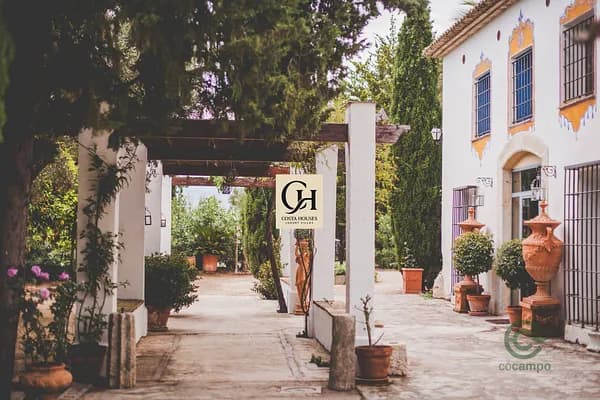 Finca rústica de 2,17 ha en venta en Valencia