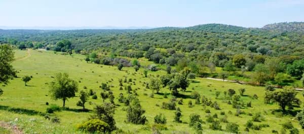 Finca rústica de 700 ha en venta en Cáceres