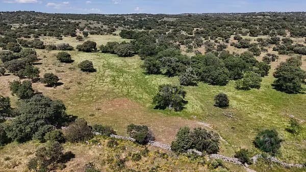 Finca rústica de 30 ha en venta en Madrid