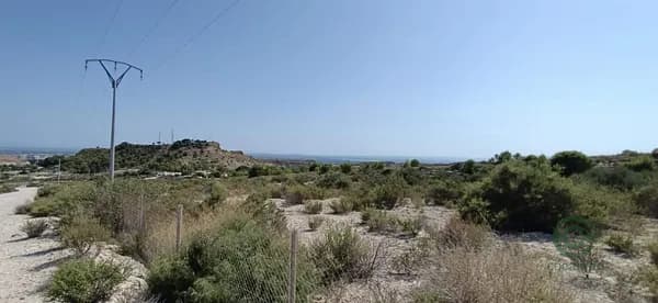 Finca rústica de 1,9 ha en venta en Elche pedanias, Alicante