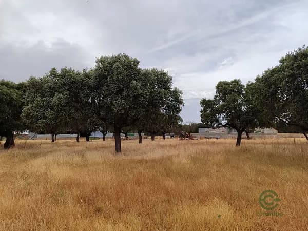 Finca rústica de 17 ha en venta en Salamanca
