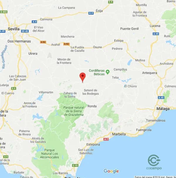 Terreno urbano de 0,4778 ha en venta en Olvera, Cádiz