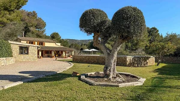 Finca rústica de 0,308 ha en venta en Calvia, Mallorca
