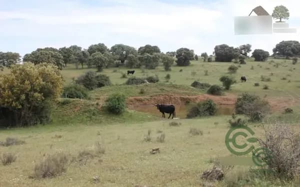 Finca rústica de 90 ha en venta en Salamanca