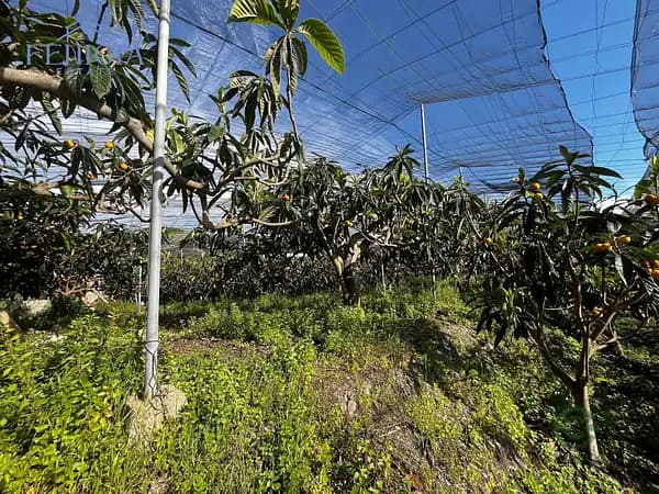 Finca agrícola de 2,5 ha en venta en Granada