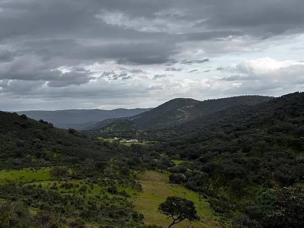 Finca rústica de 401 ha en venta en Huelva