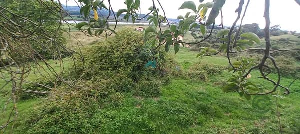 Finca agrícola de 0,4717 ha en venta en Colindres, Cantabria