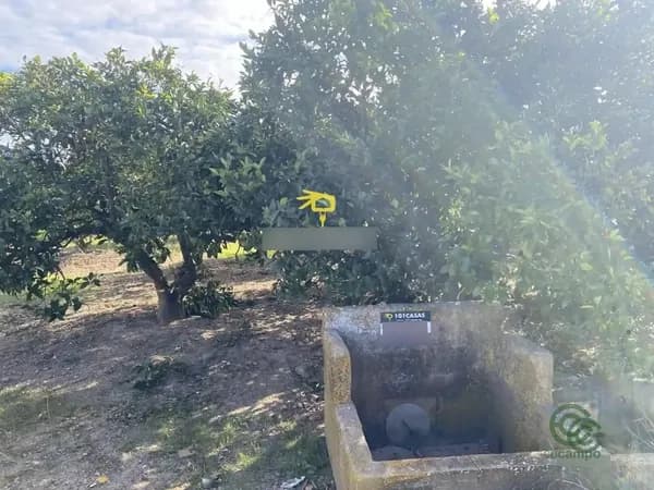 Finca agrícola de 0,1667 ha en venta en Sueca, Valencia