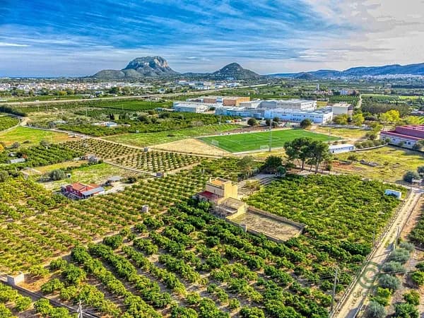 Finca rústica de 4,2 ha en venta en Alicante
