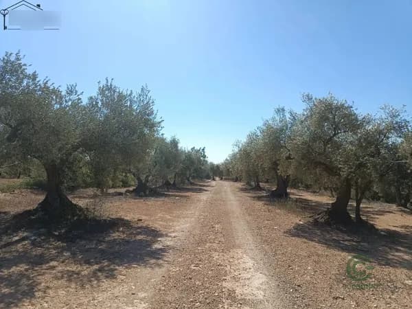 Finca rústica de 2,7404 ha en venta en Camarles, Tarragona