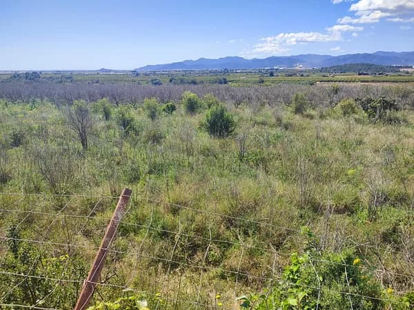 Finca agrícola de 2,0951 ha en venta en Castellón