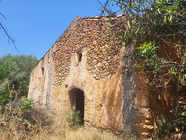 Finca agrícola de 0,8065 ha en venta en Vall d'alba, Castellon