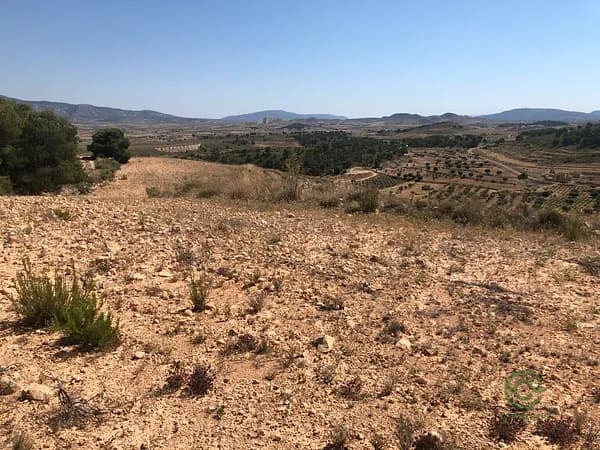 Finca rústica de 3,7566 ha en venta en Badajoz