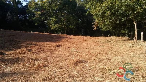 Finca rústica de 1 ha en venta en Marín, Pontevedra