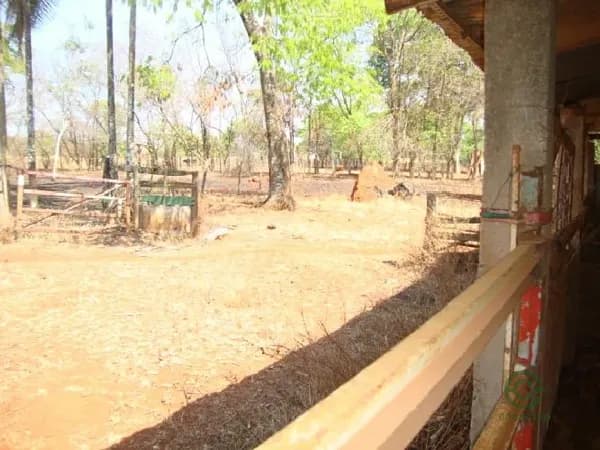 Fazenda rustica de 2,94 ha para venda em Goiás