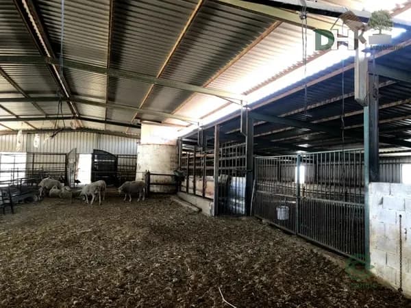 Finca rústica de 155 ha en venta en Badajoz