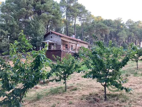 Finca rústica de 1 ha en venta en Ávila