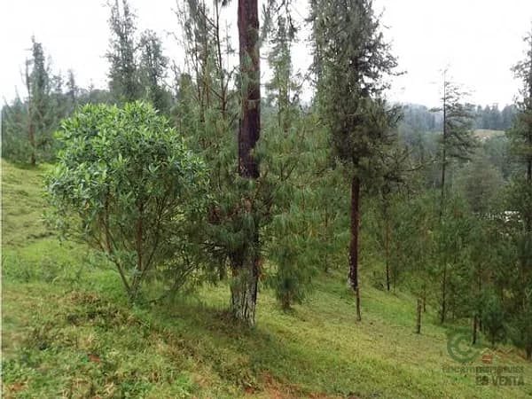 Terreno urbano de 0,3962 ha en venta en Antioquia