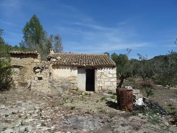 Finca agrícola de 0,1167 ha en venta en Alcalali, Alicante
