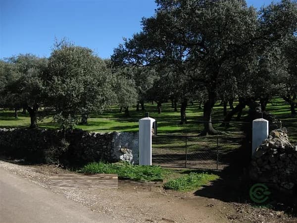 Finca rústica de 1,6 ha en venta en Fuentes de león, Badajoz