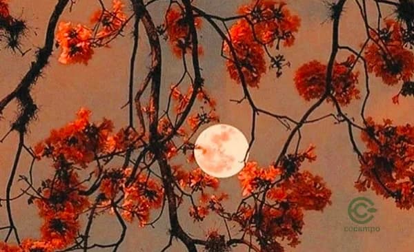 Finca rústica de 6 ha en venta en Uceda, Guadalajara