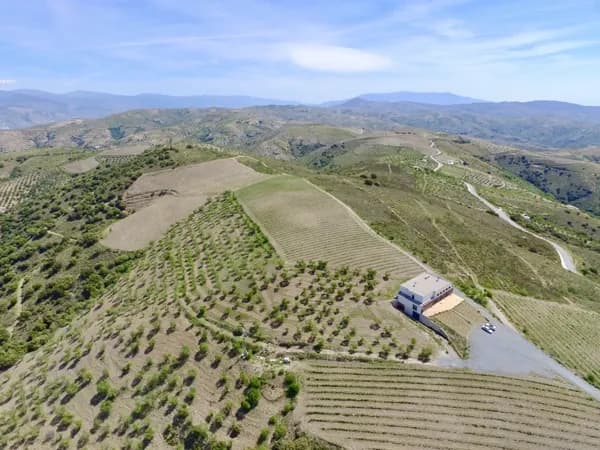 Finca agrícola de 7 ha en venta en Granada
